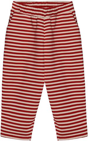 ALVIN PANT