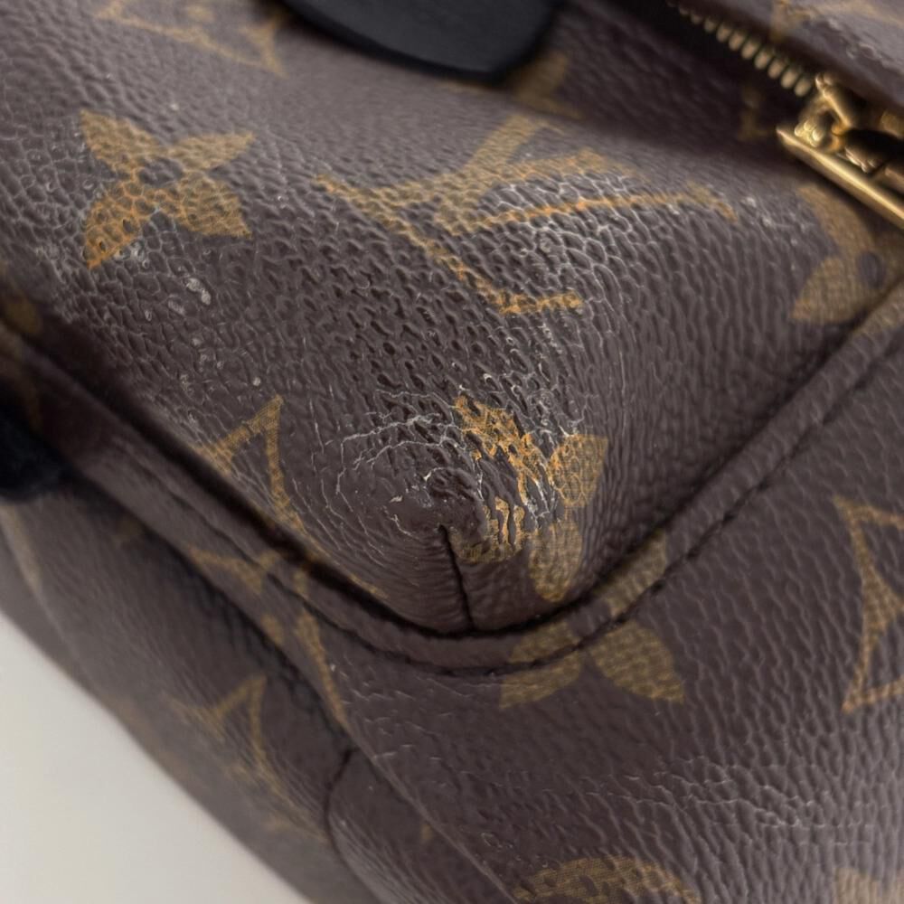 Louis Vuitton Palm Springs