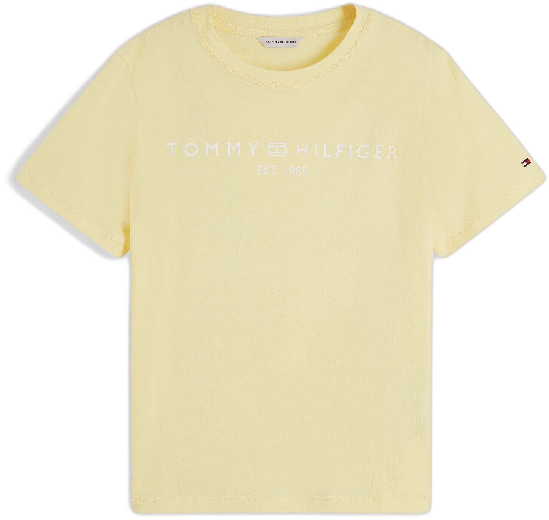 REG CORP LOGO C-NK SS