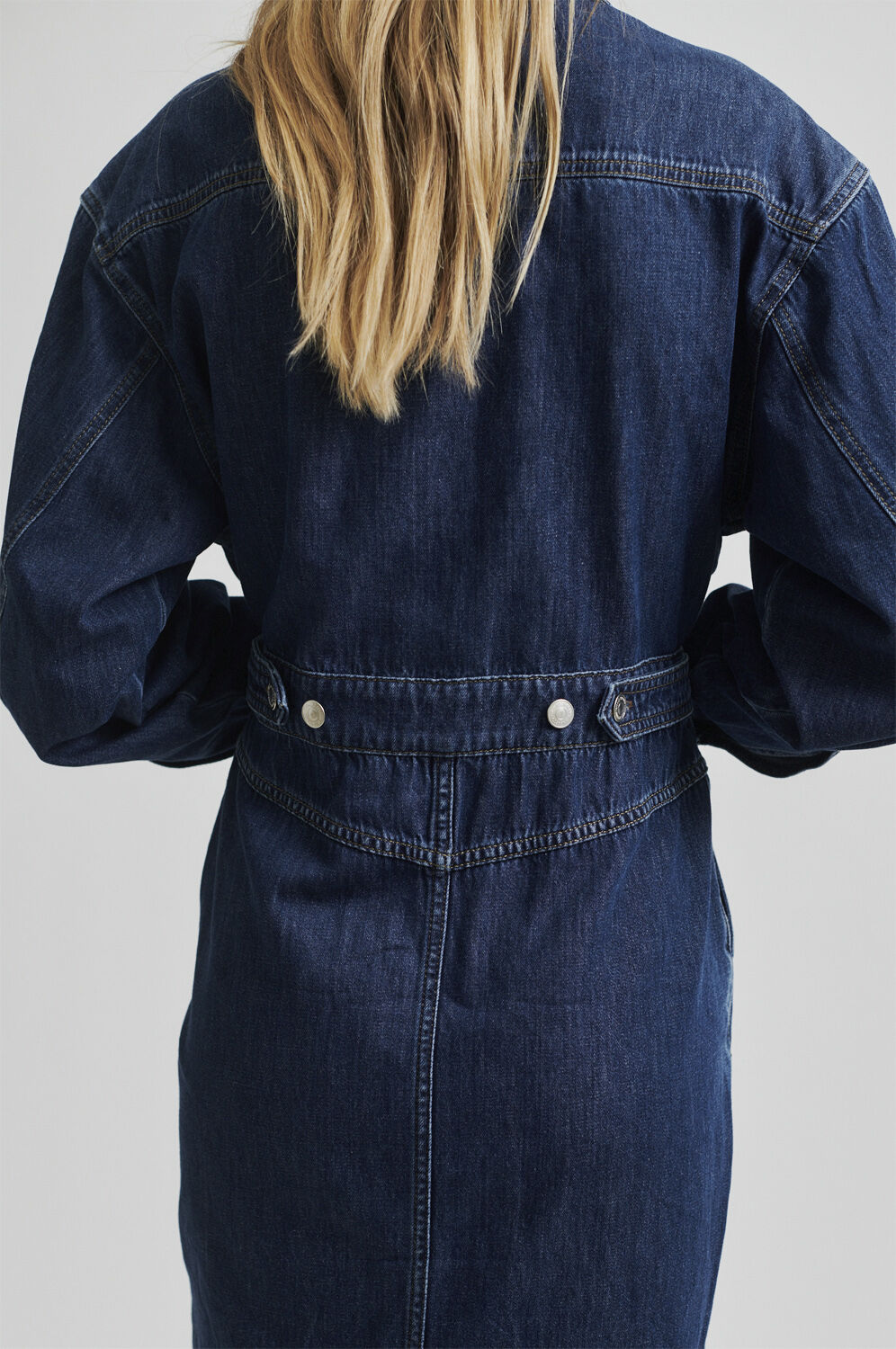 Mina Denim Dress