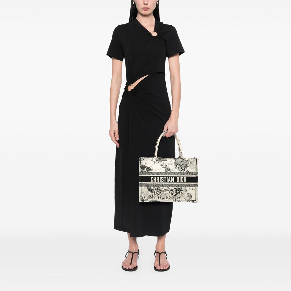 Dior Tote