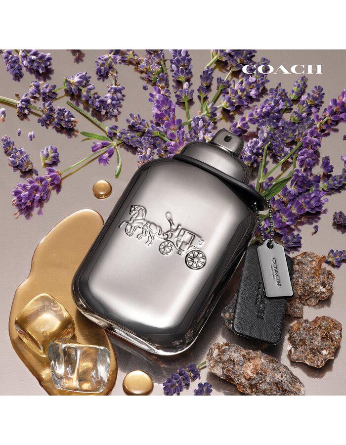 Pure Platinum Parfum