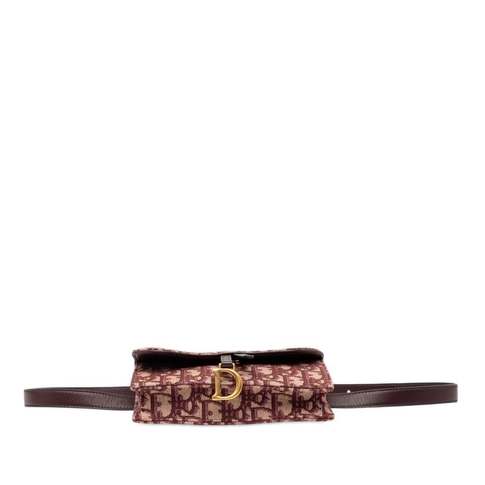 Dior Belt Bag