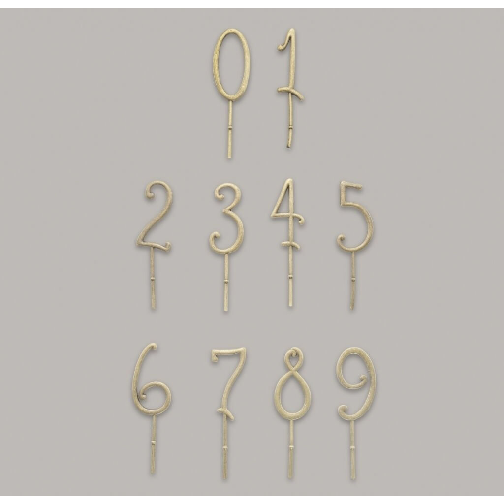 F&oslash;dselsdagstog