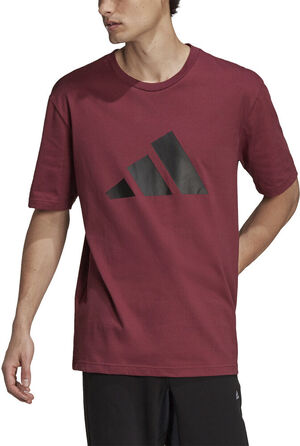 Sportswear Future Icons Logo Graphic T-shirt