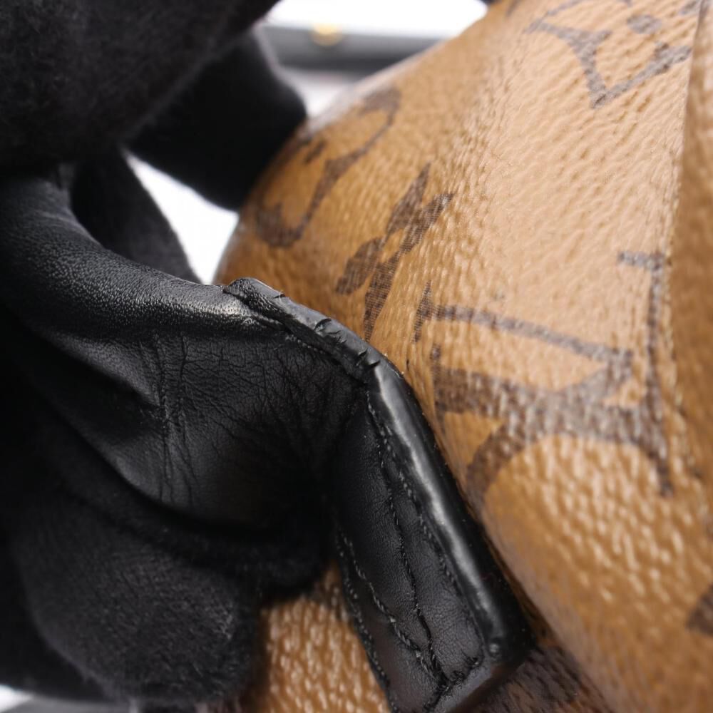 Louis Vuitton Palm Springs