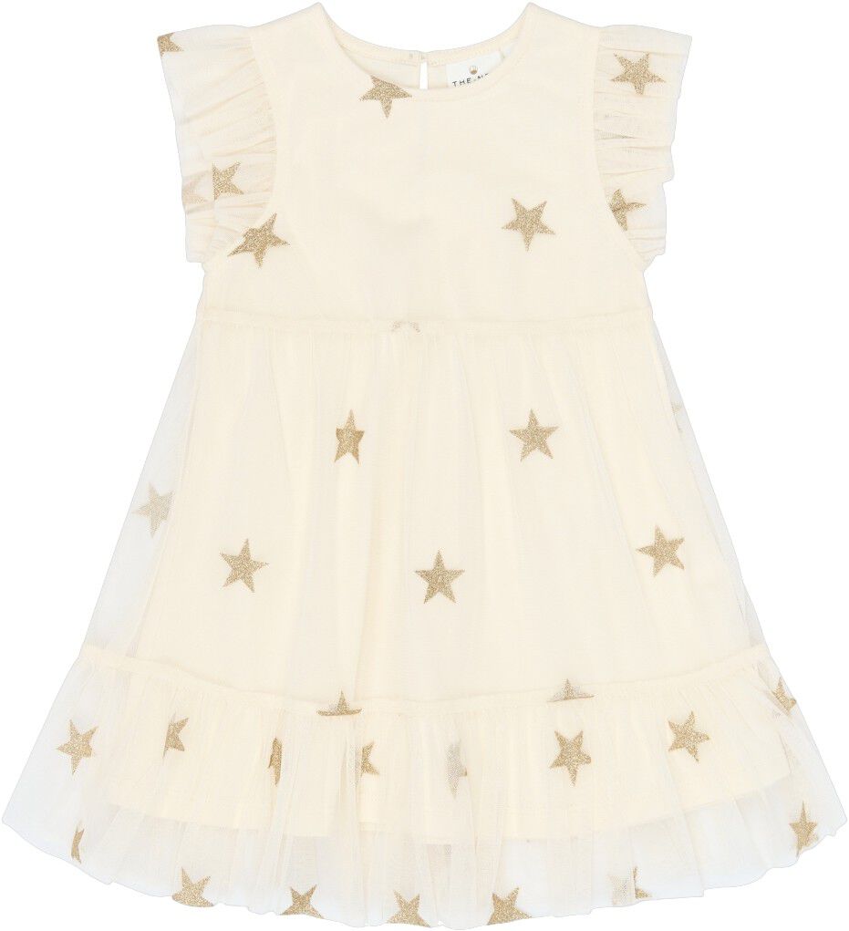 Tnstyamma Mesh S_L Dress