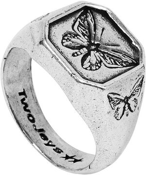 Butterfly Effect