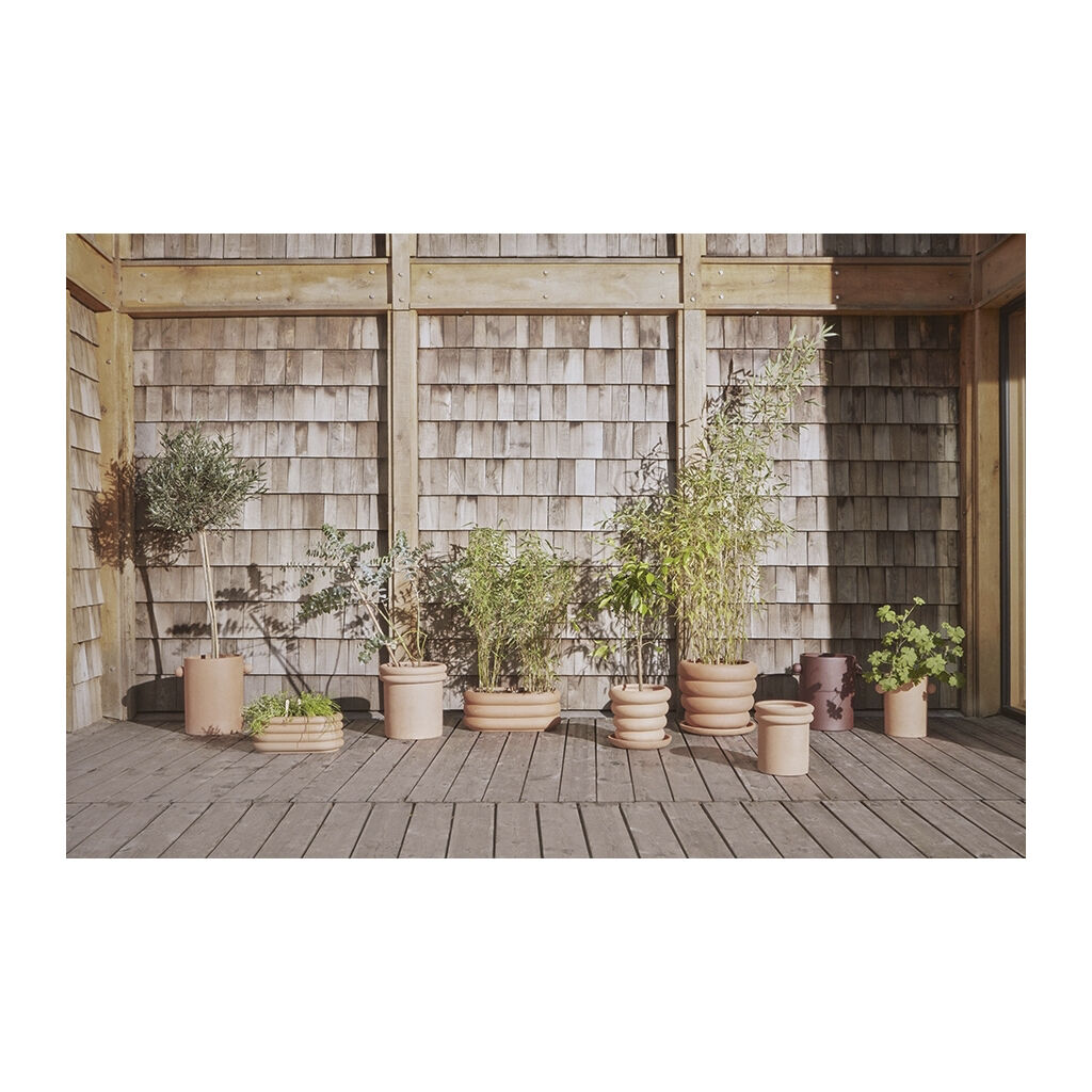 Ring Planter - Small