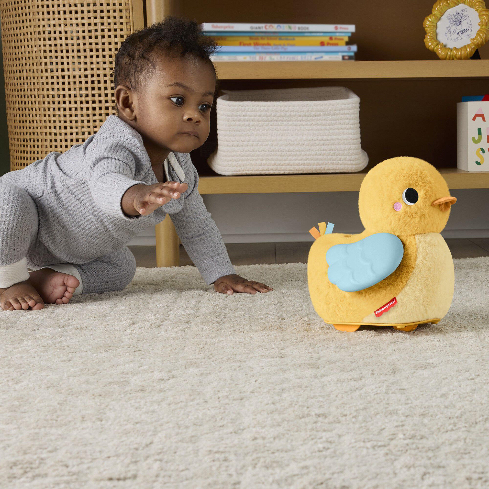 Fisher-Price Flap & Follo