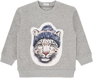 Hcsejer Sne Leopard