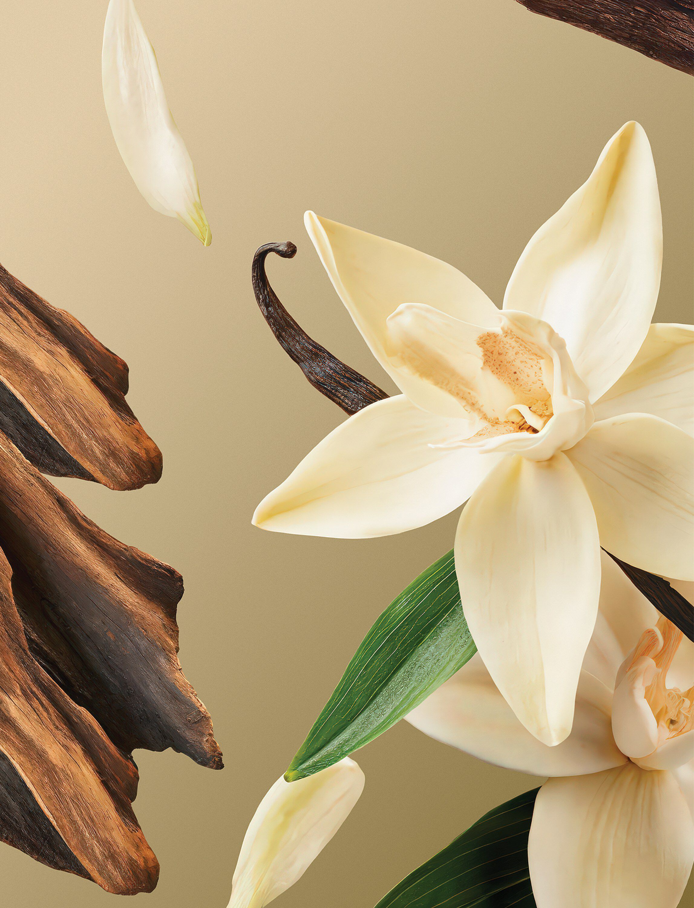 Intuitia Exfoliating Hand Wash 325ml