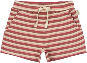 Shorts Modal Multi Striped
