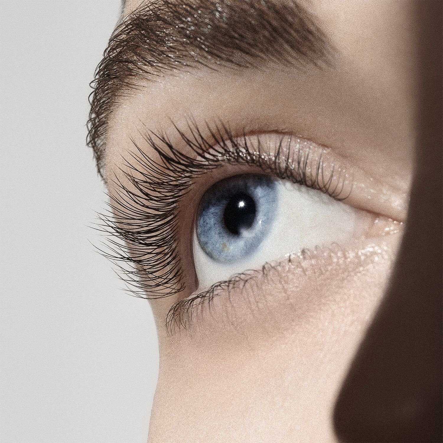 The Eyebrow & Lash Enhancing Serum