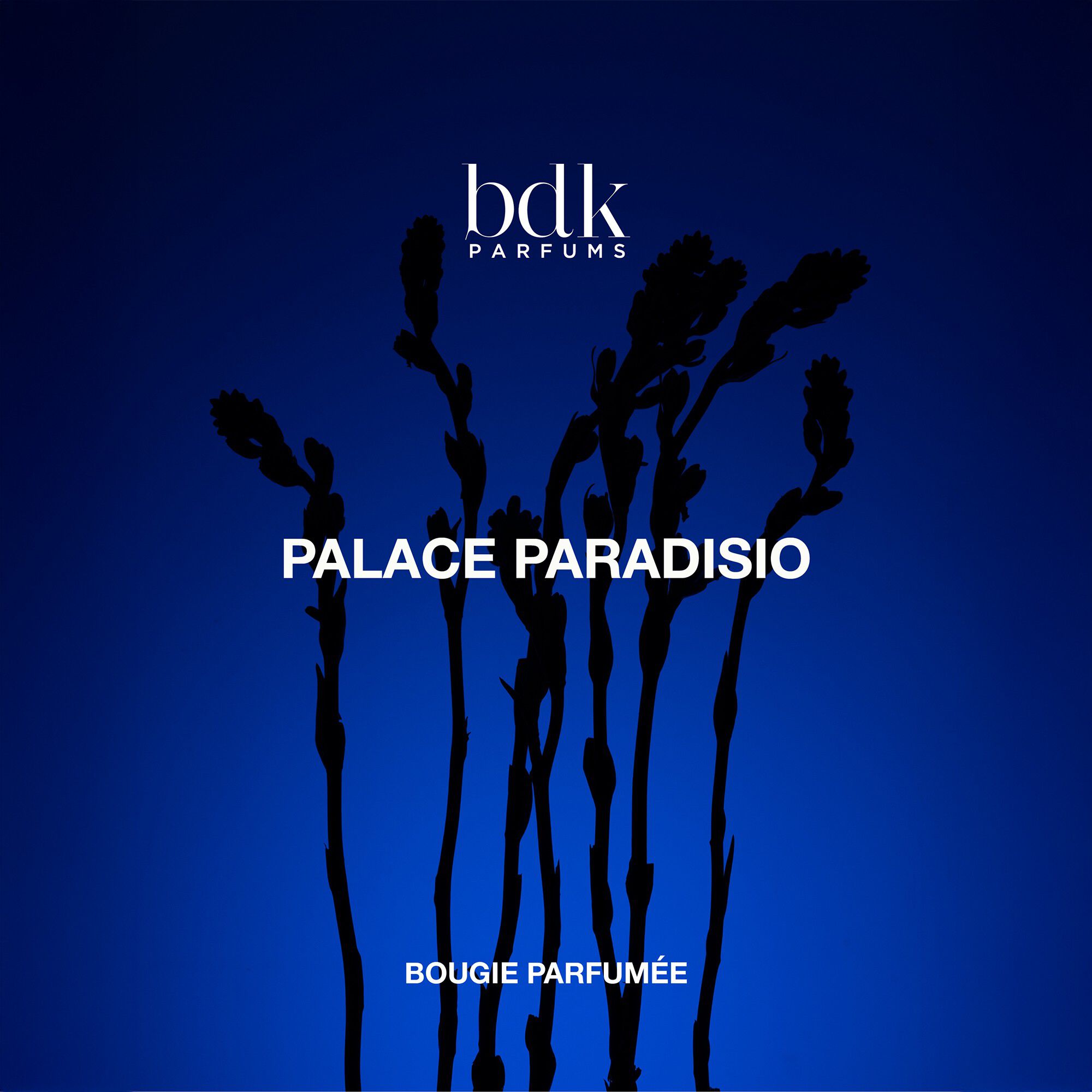 BDK PALACE PARADISIO - BOUGIES 250G