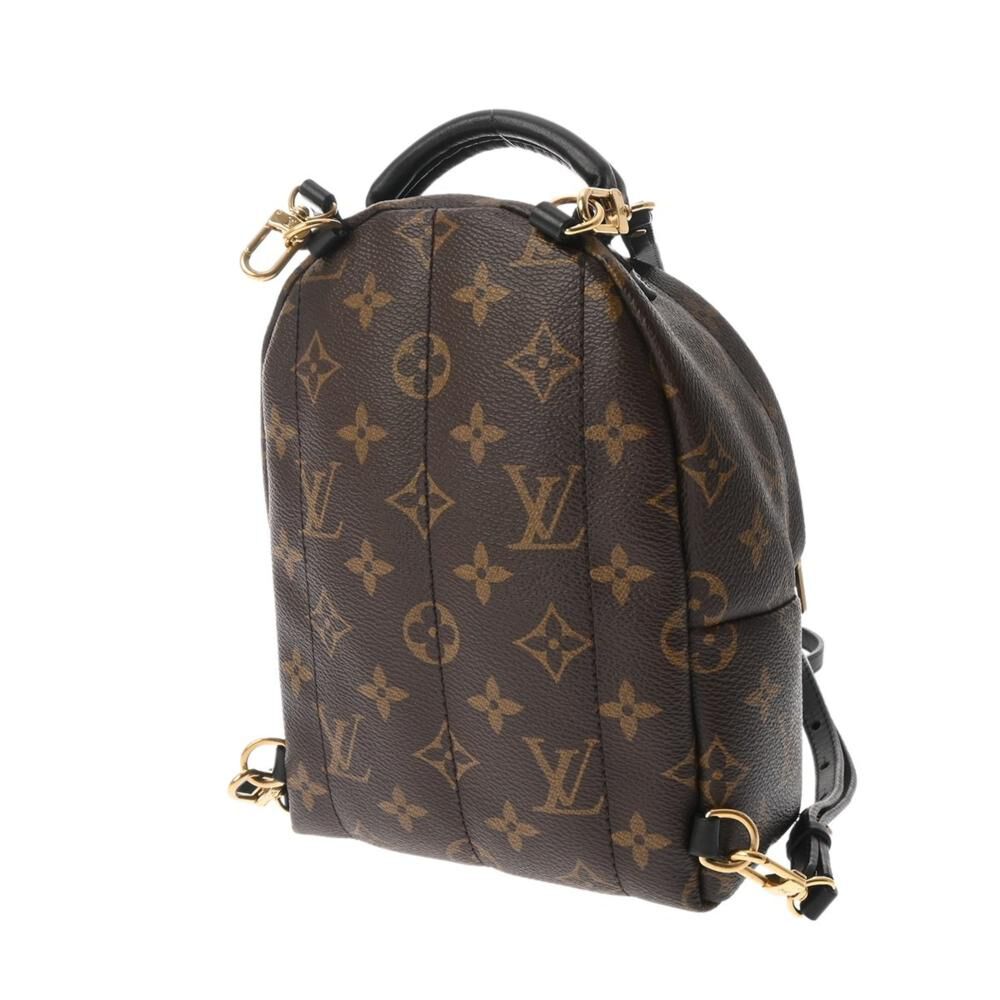 Louis Vuitton Palm Springs