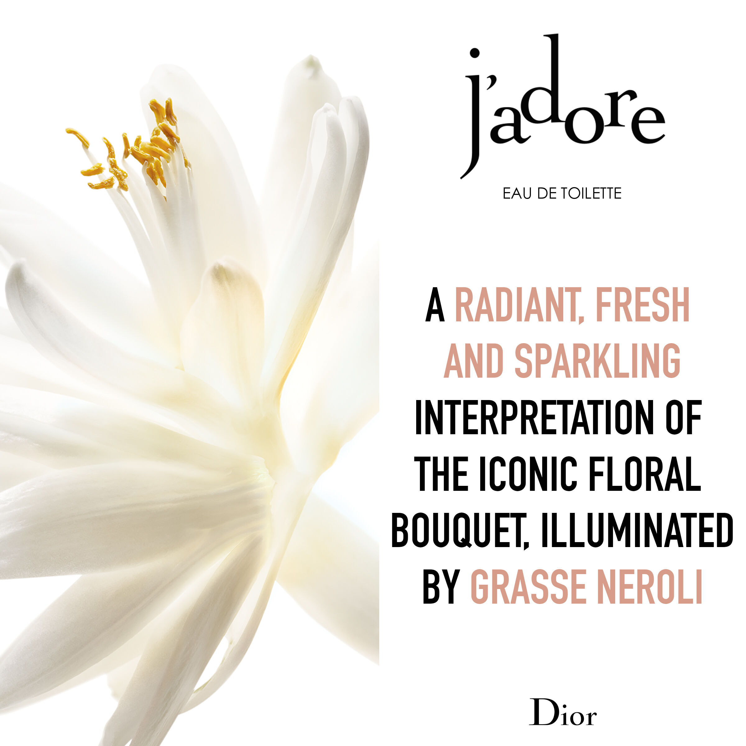 J'adore Eau de toilette