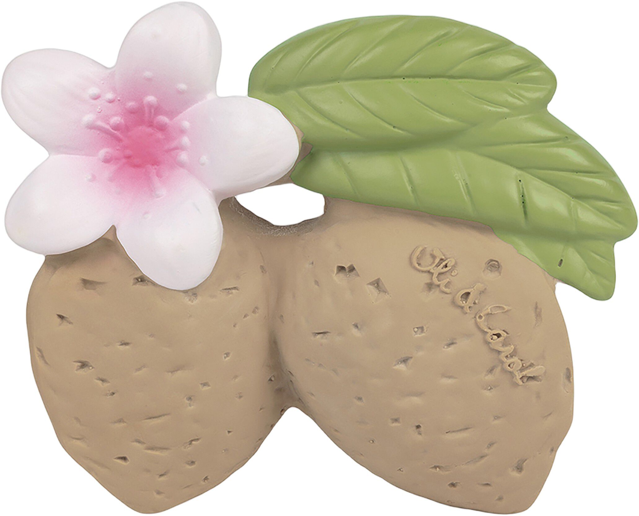 Oli & Carol - Bidering - Aly the Almond