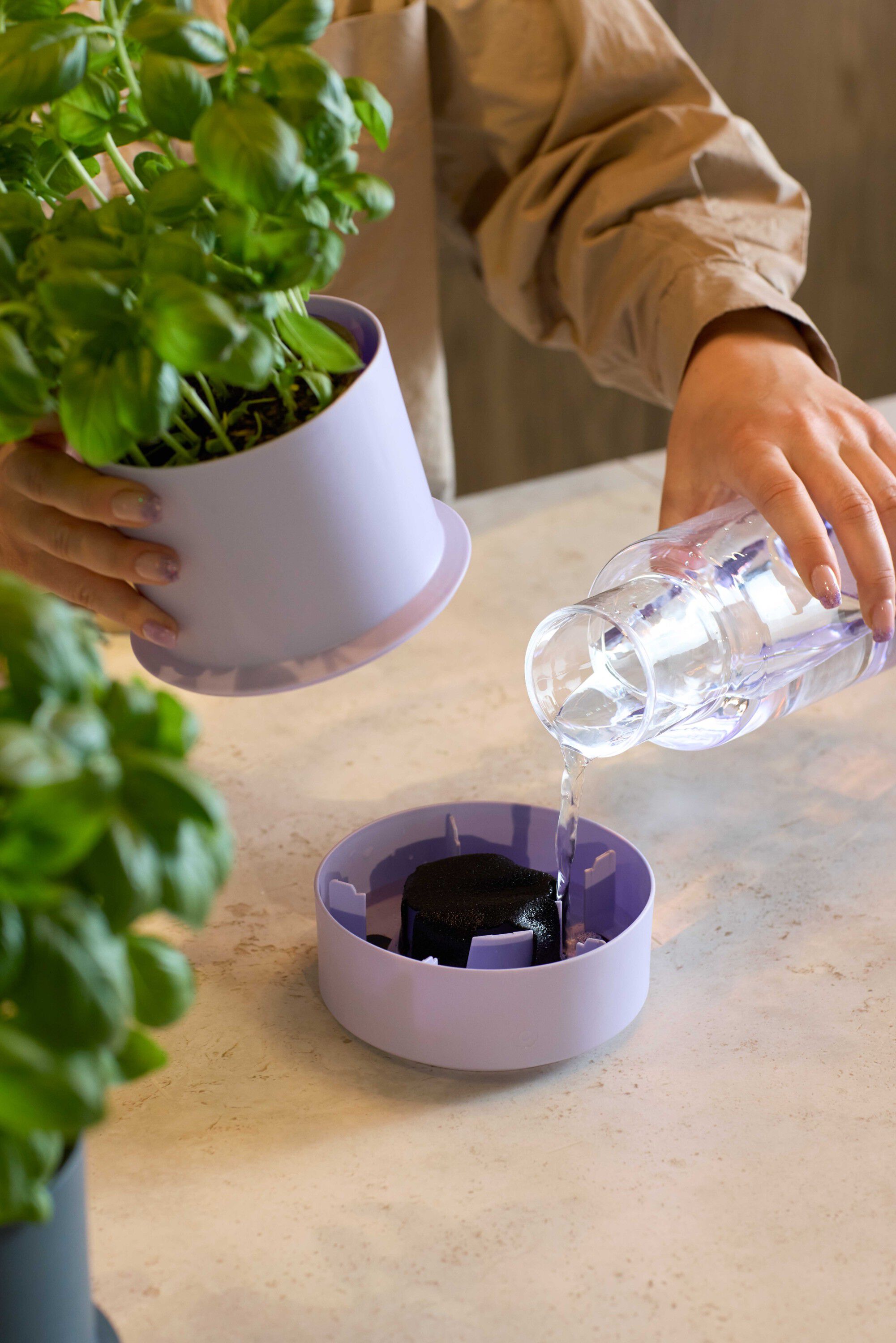 Billund self-watering pot, parsley