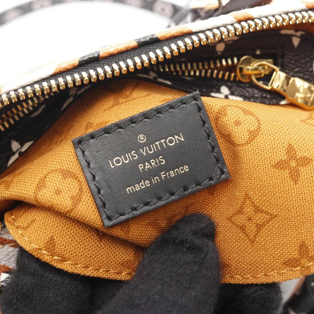Louis Vuitton Speedy