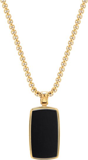 Black Onyx Dog Tag Necklace in Gold