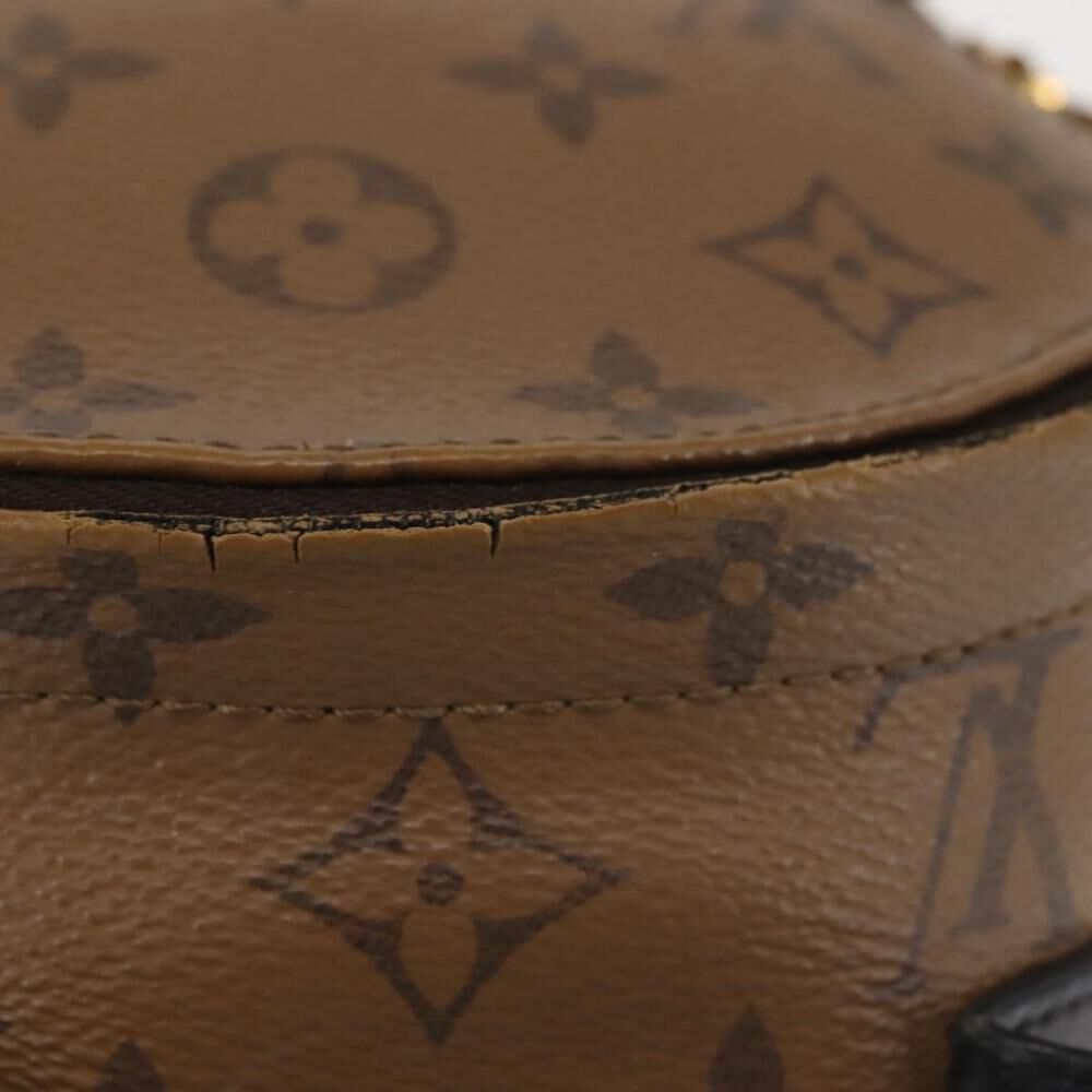 Louis Vuitton Palm Springs