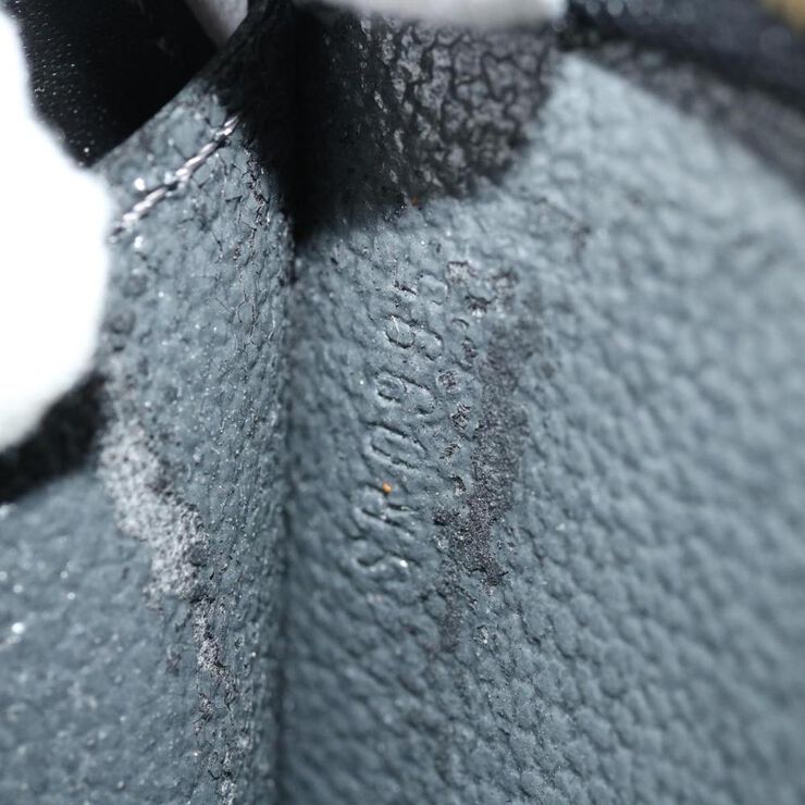 Louis Vuitton Poche Toilette