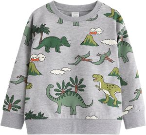 Comfy sweatshirt in soft cotton jer