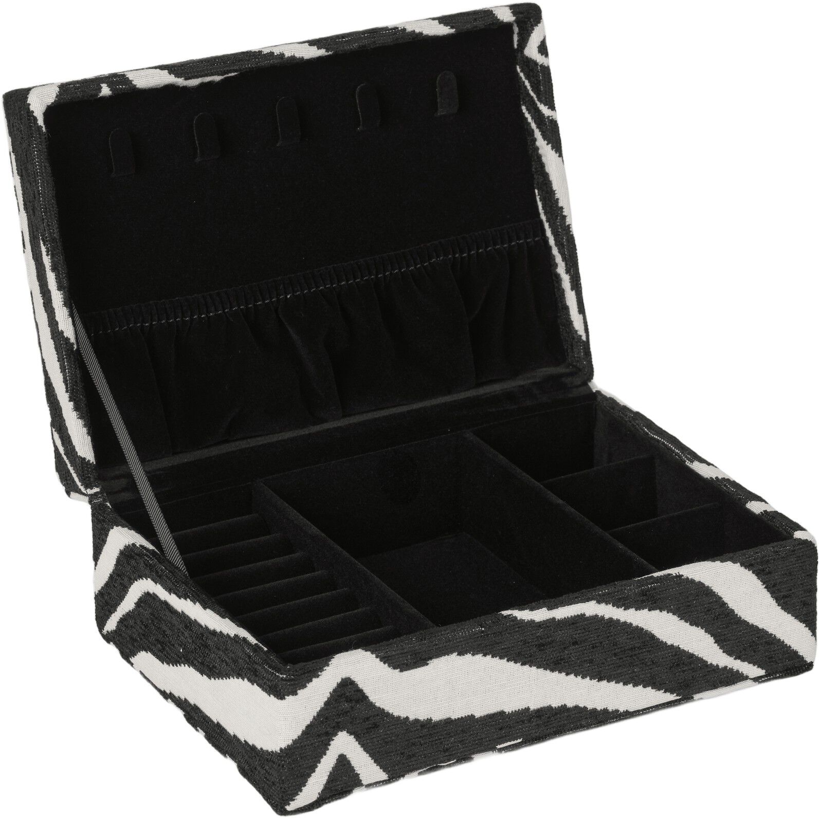 Day Zebra Jewelry Case Medium
