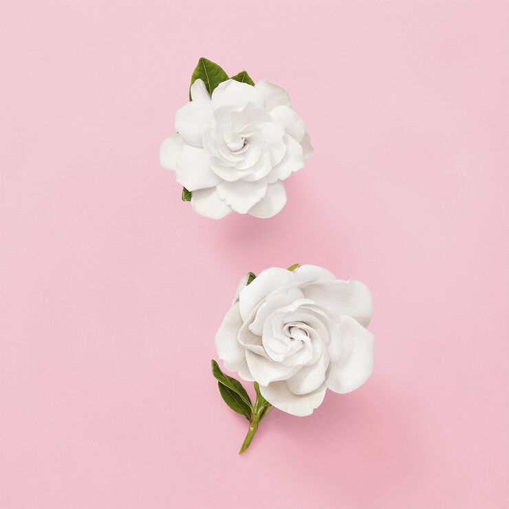 GUCCI Flora Gorgeous Gardenia Eau de parfum