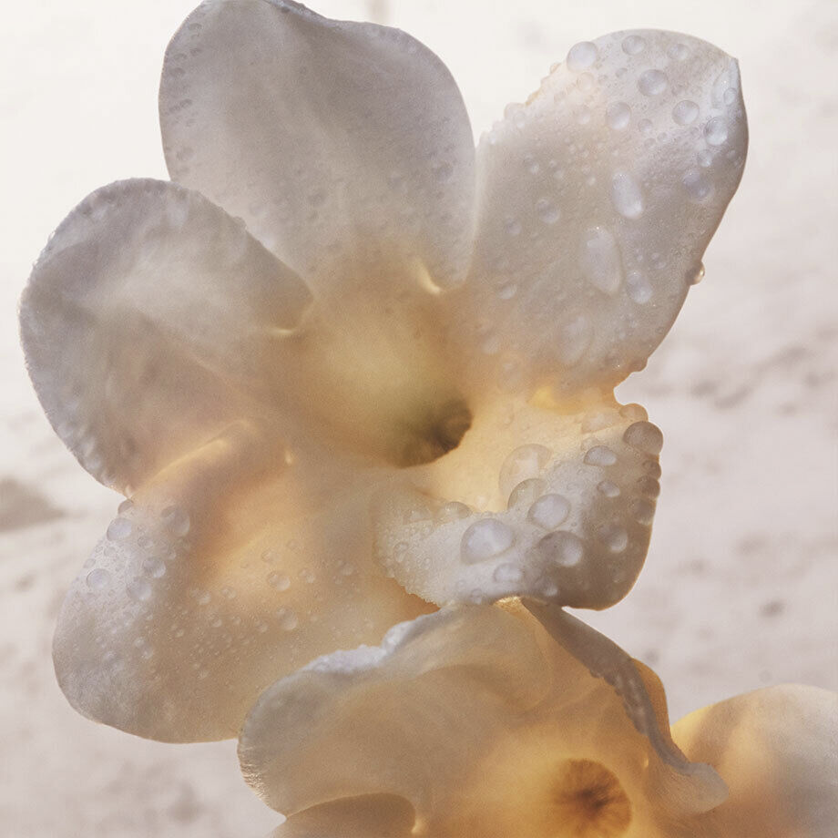 Olympea Deodorant Spray 150 ml