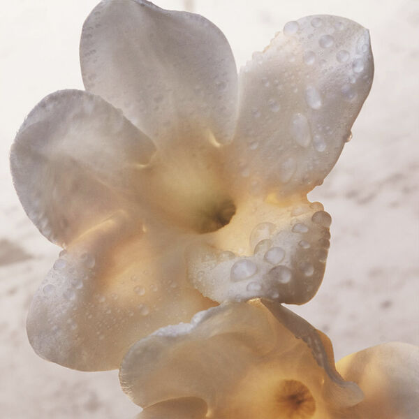 Olympea Deodorant Spray 150 ml.