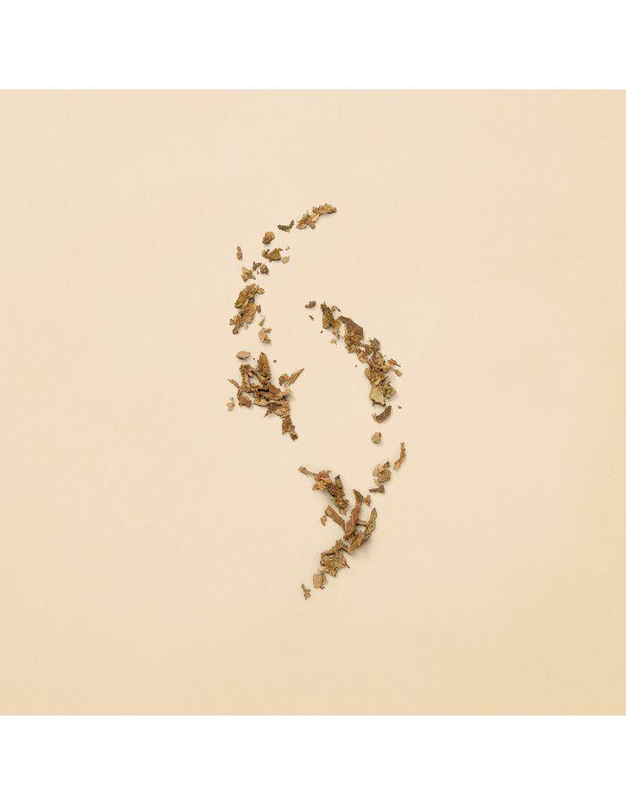 Guilty Revolution Eau De Parfum