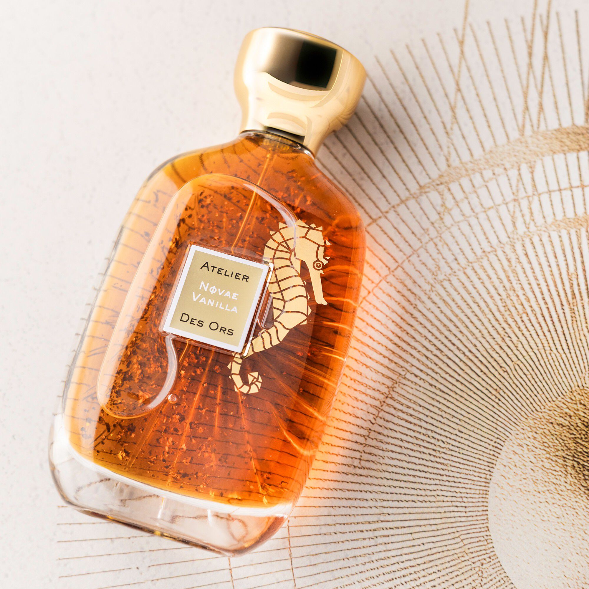 NOVAE VANILLA - EAU DE PARFUM 100ML