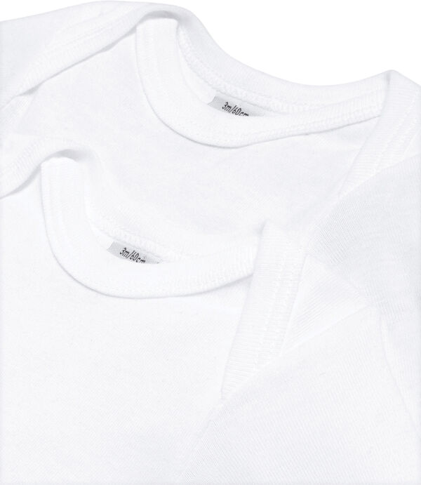 2 BODIES US ML varian1M