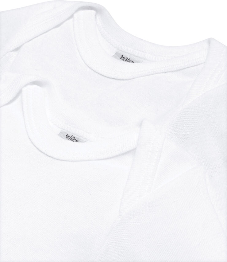 2 BODIES US ML varian1M