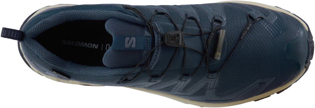 XA Pro 3D V9 Gore-Tex Vandresko