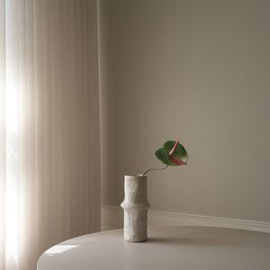 Anthurium Flower