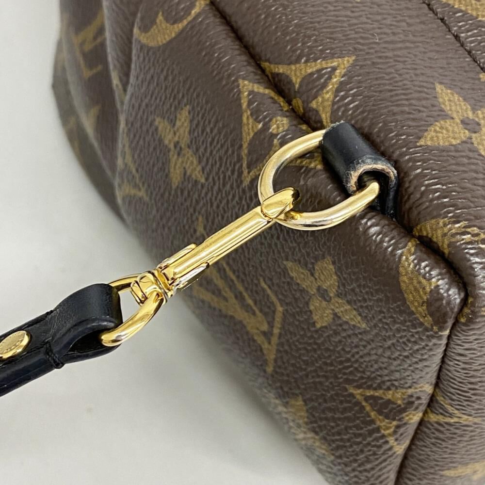 Louis Vuitton Palm Springs