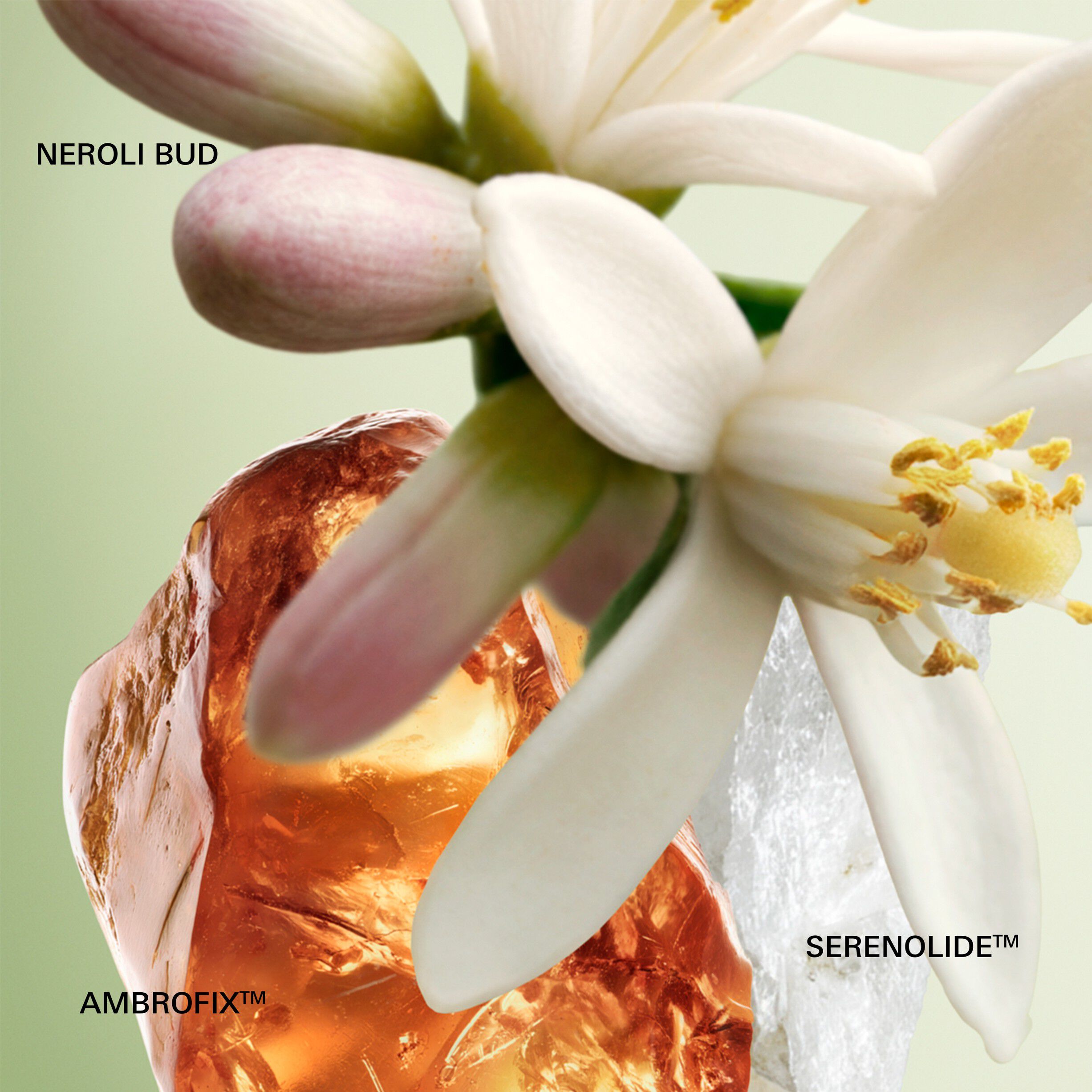 Paradoxe Eau de Parfum Refill