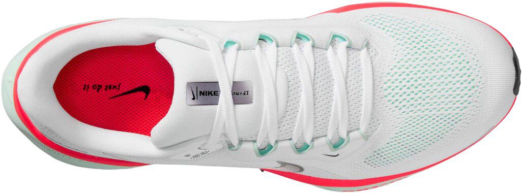 Pegasus 41 L&oslash;besko