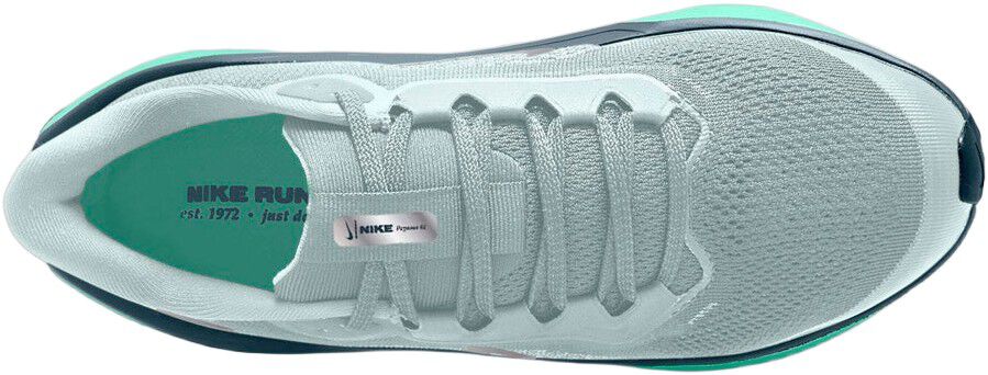 Pegasus 41 L&oslash;besko