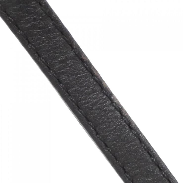 Louis Vuitton Palm Springs