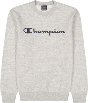 Script Logo Fleece sweatshirt