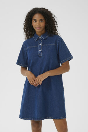 KAsandra Denim Dress
