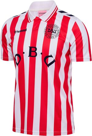 DBU Danmark 26/27 Pre Game T-shirt