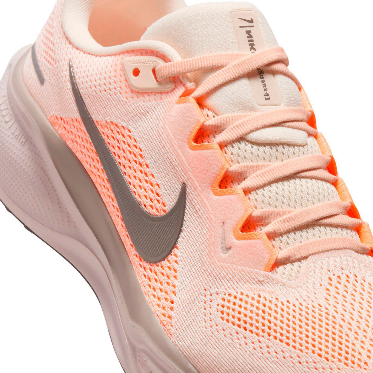 Pegasus 41 L&oslash;besko