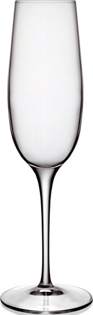 Palace 6 stk. champagne 23,5 cl.