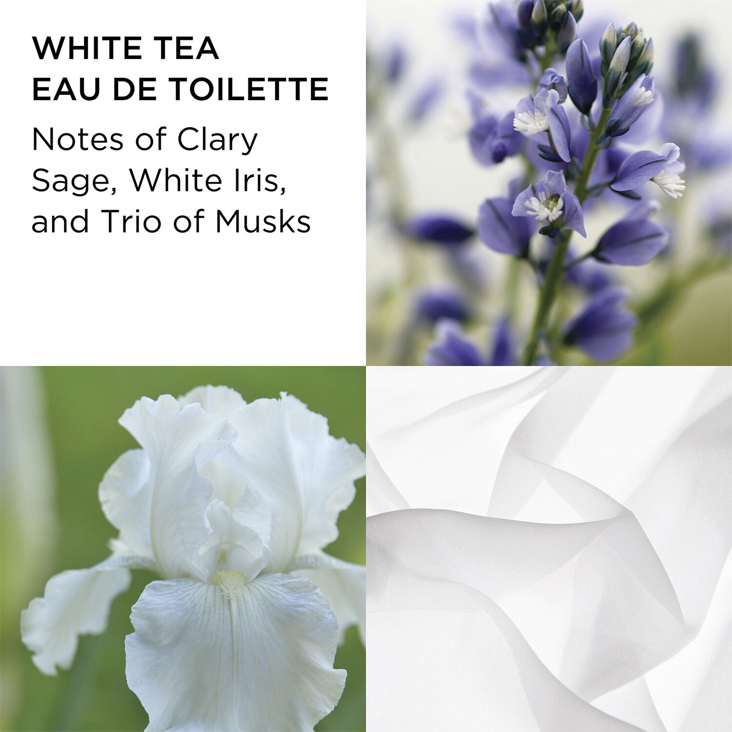 White Tea