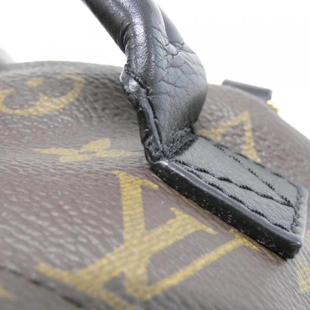 Louis Vuitton Palm Springs